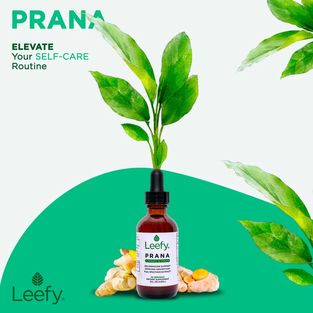 PRANA A28418