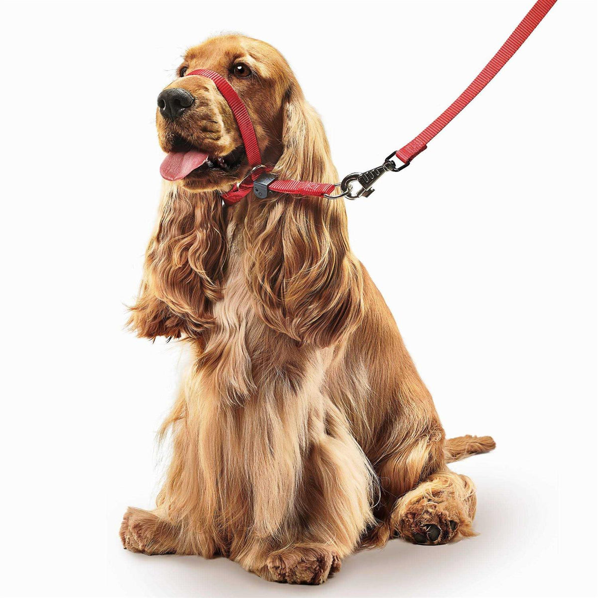 Gentle Leader Head Collar Dogs X883