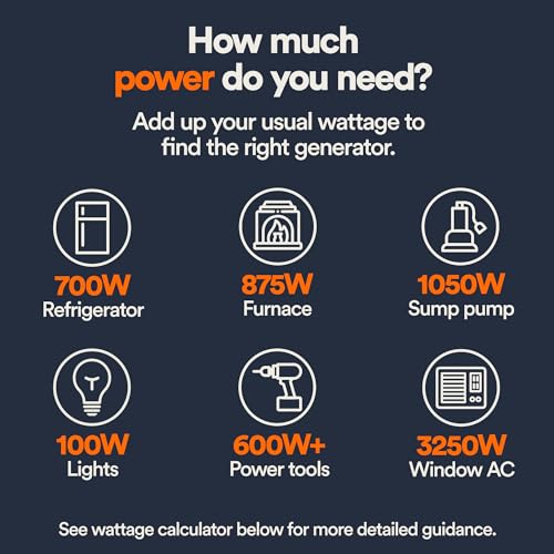 8,000-Watt Gas-Powered Portable Generator with Electric Start V608533