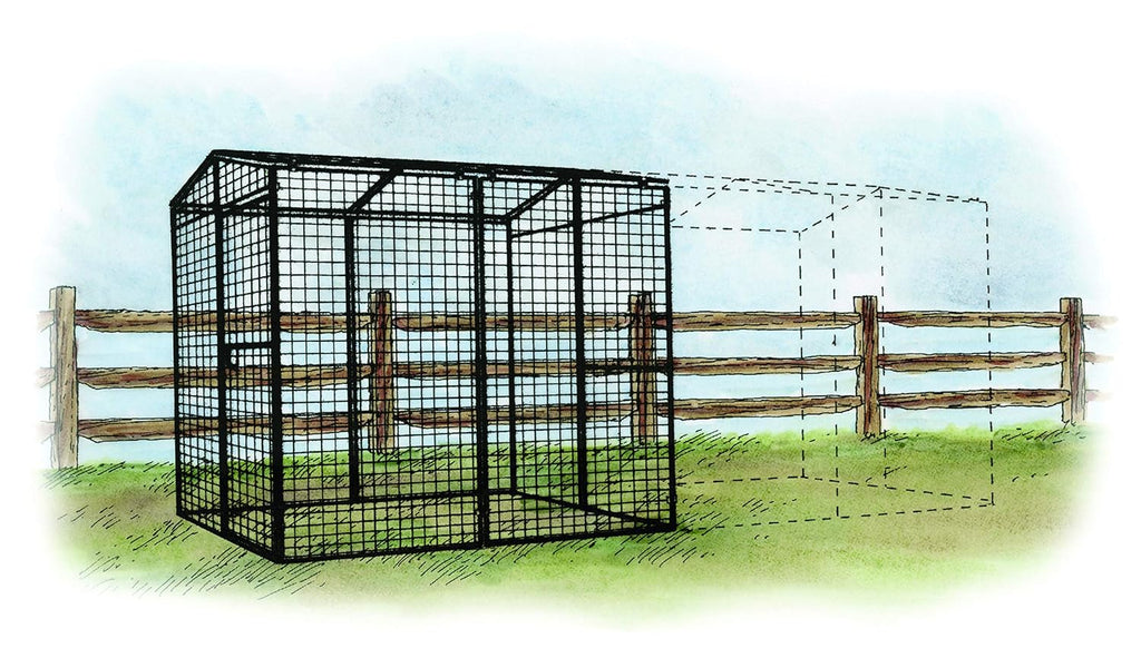 Black Metal Wire Chicken Cage V657