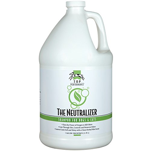 1-Gallon Dog and Cat Shampoo Y2373