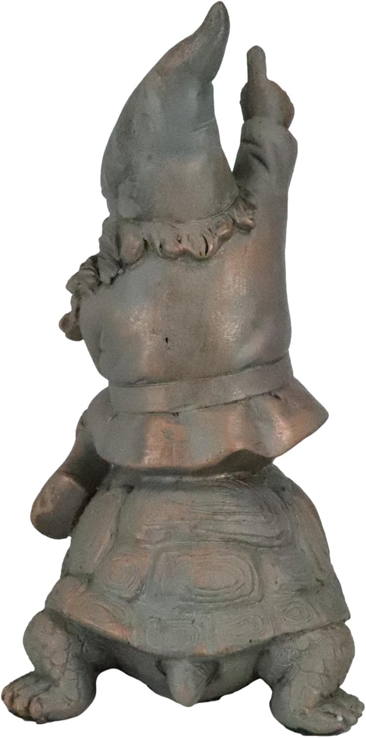 Mr Gnome Sitting On Wild Rodeo Giant Tortoise Figurine D366