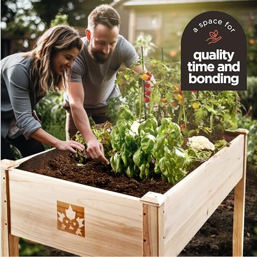 Natural Cedar Wood Elevated Raised Garden Bed 48x24x30 C864