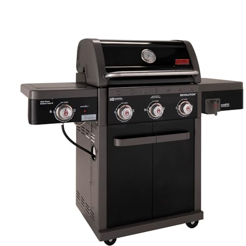 2-Burner 30,000 BTU BBQ Gas Grill in Black M275