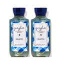 10 Oz 2 Pack Gingham Shower Gel T2766
