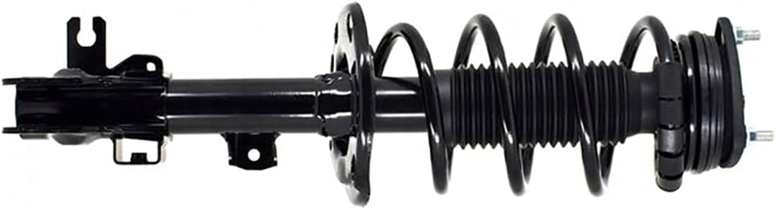 Set of 2 Complete Strut Assembly with Coil Spring F6134