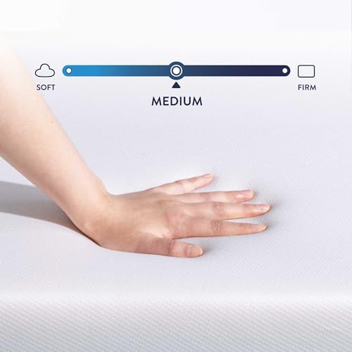 5 Inch Memory Foam Mattress, Twin Q585