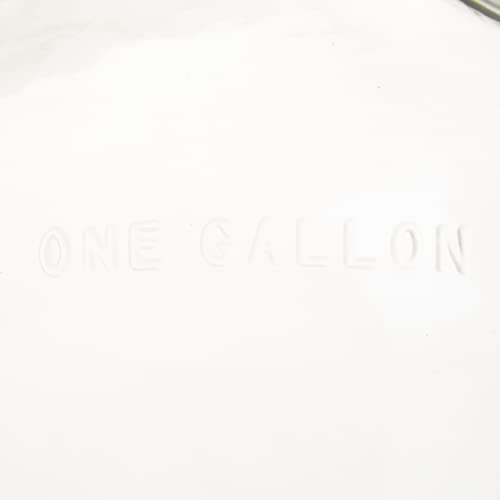 1 Gallon Clear Glass Fermenter Jug B253