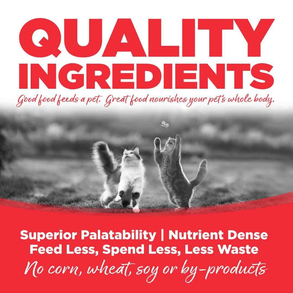 Grain Free Cat Food M5410