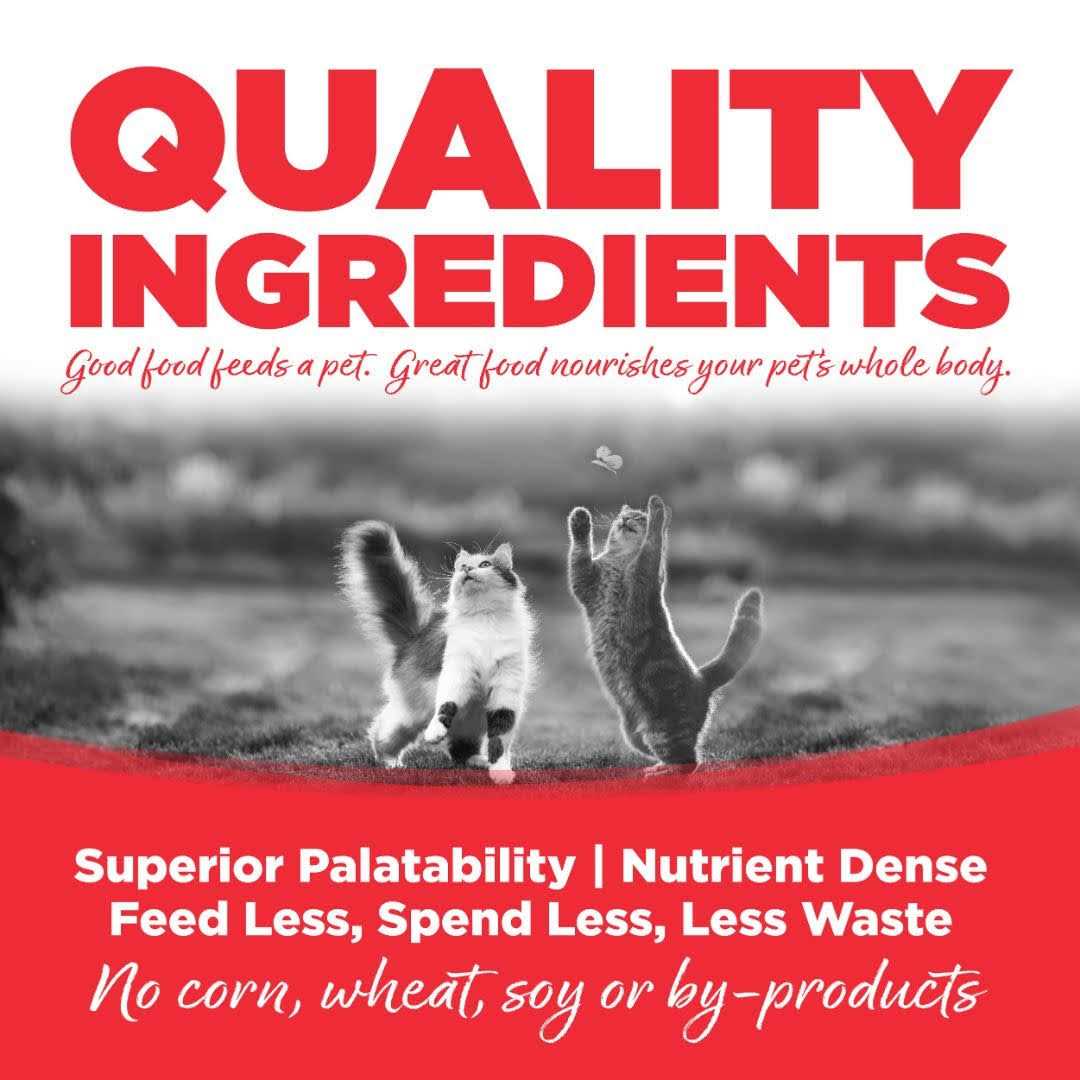 Grain Free Cat Food M5410