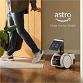 Household robot with Alexa Q543342