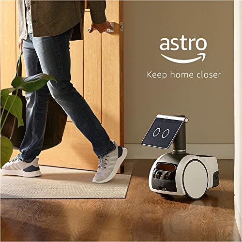 Household robot with Alexa Q543342