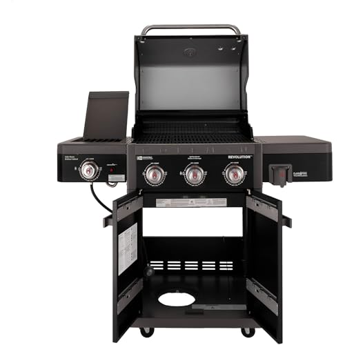 2-Burner 30,000 BTU BBQ Gas Grill in Black M275