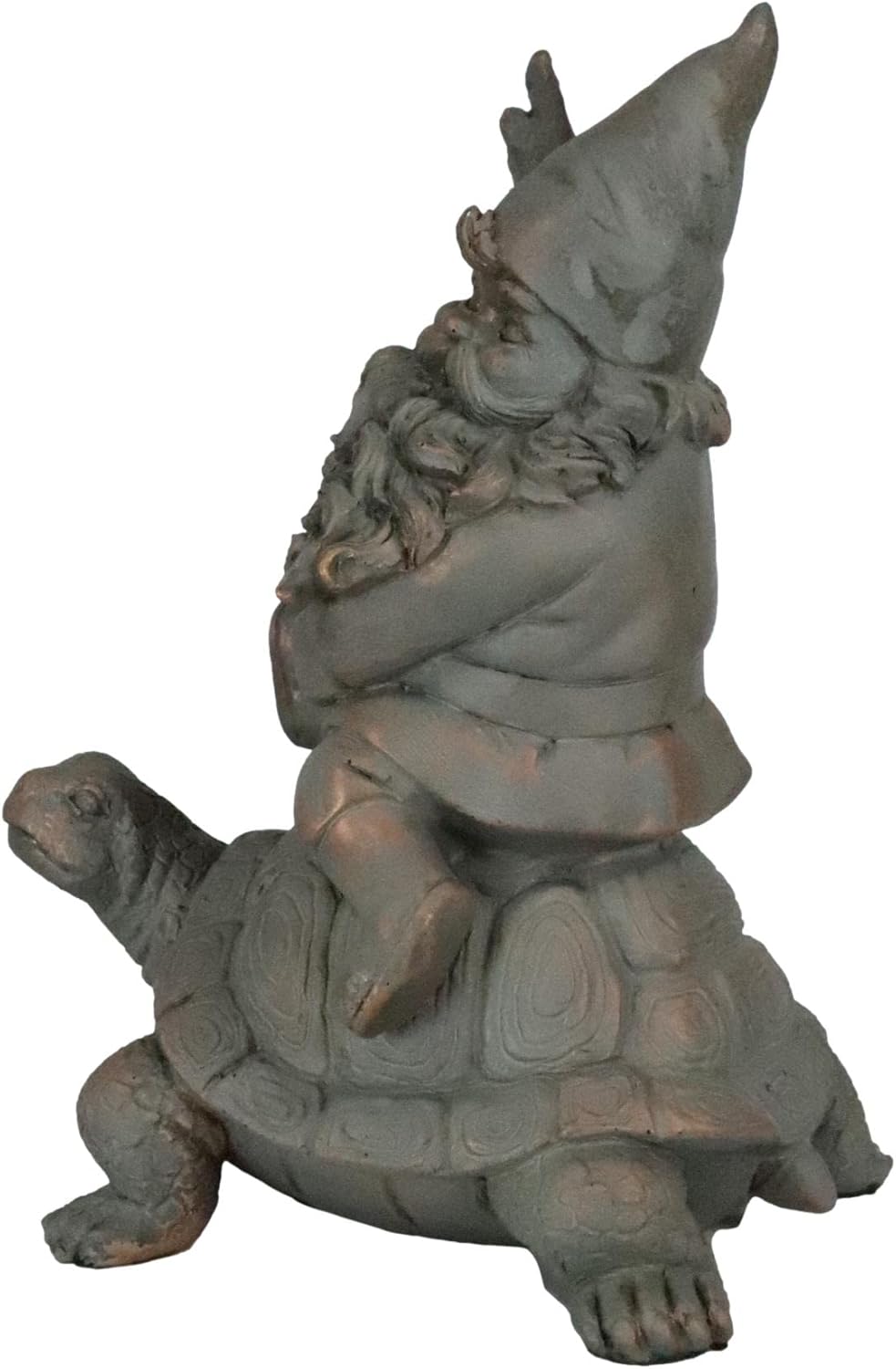 Mr Gnome Sitting On Wild Rodeo Giant Tortoise Figurine D366