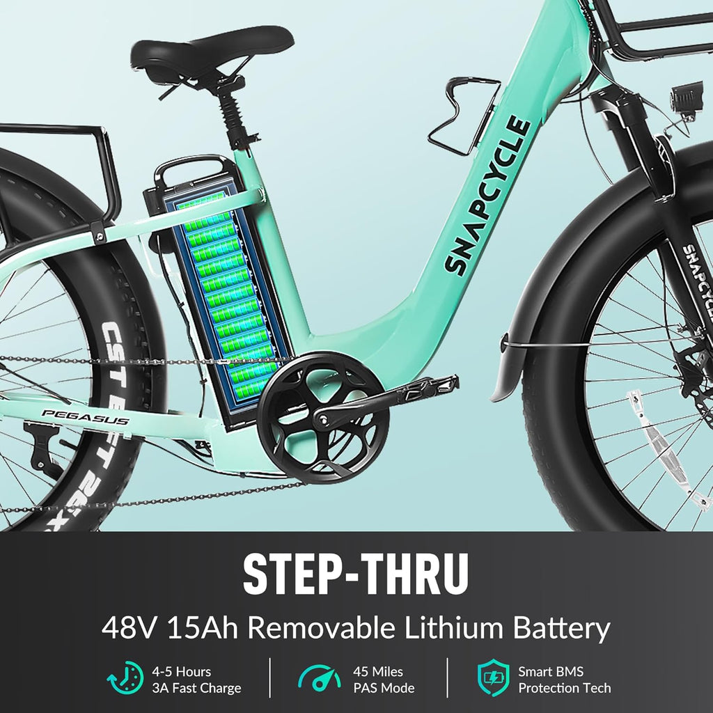 1000W Peak Motor 26" x 4.0 Fat Tire Step-Thru Ebike with 48V 15AH Removable Battery C4127