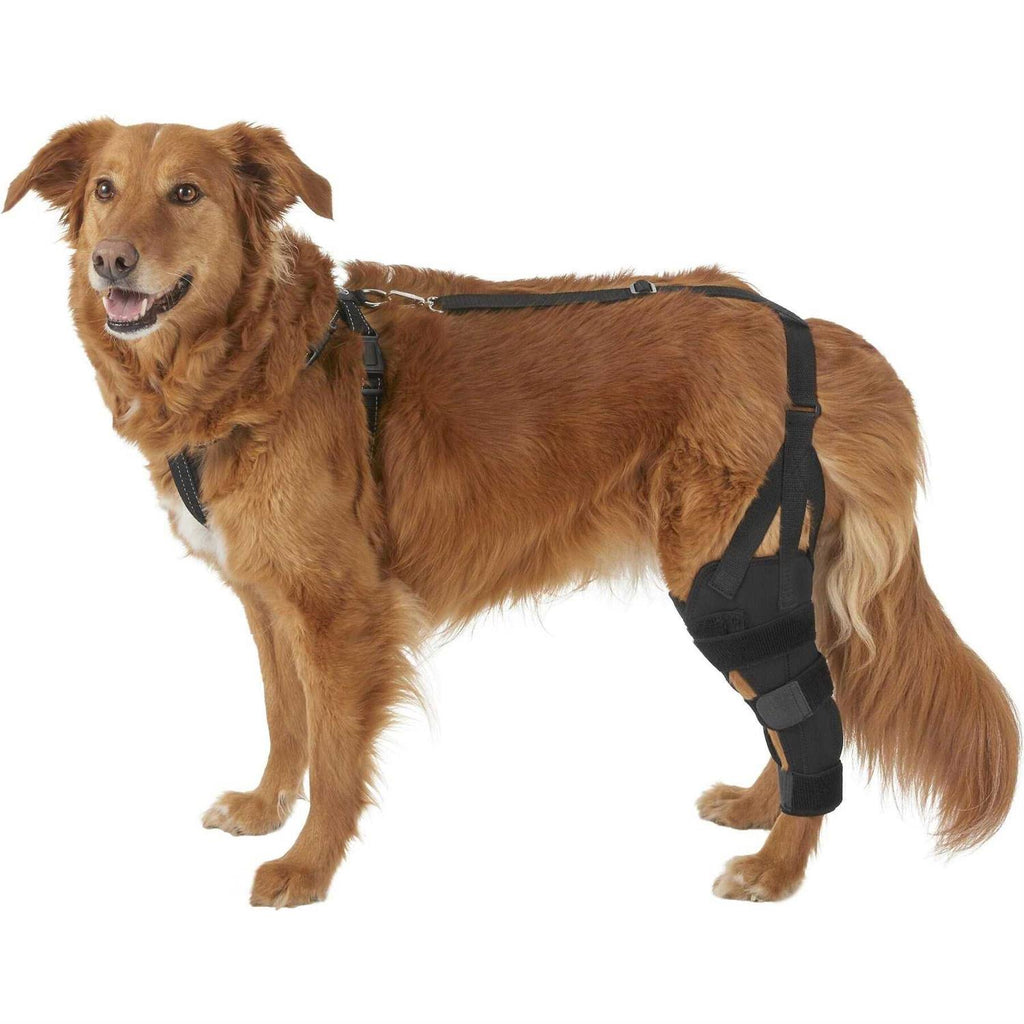Metal Hinged Knee Brace for Dogs S644692