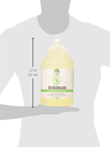 1-Gallon Dog and Cat Shampoo Y2373