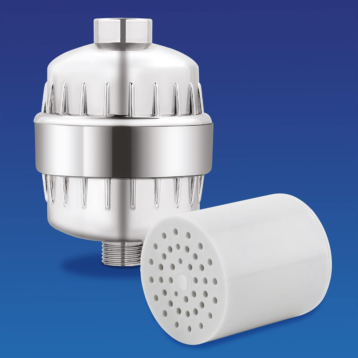 Shower Filter with 2 Filter Cartridges Z829