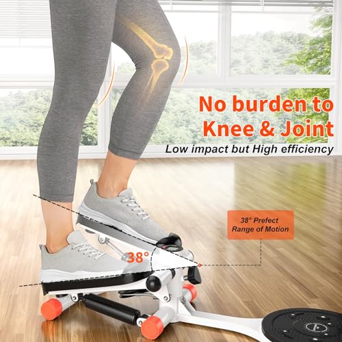 Mini Twist Stepper with Resistance Bands, 330LBS Weight Capacity, Adjustable Twist Table, LCD Monitor D527