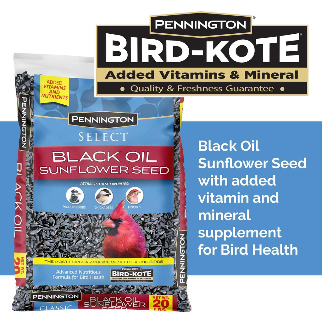 Black Oil Sunflower Seed Wild Bird Feed O277984