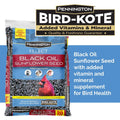 Black Oil Sunflower Seed Wild Bird Feed O277984