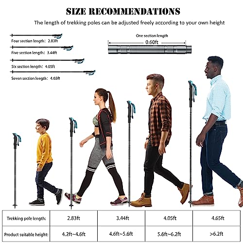 Collapsible Lightweight Trekking Poles Z572