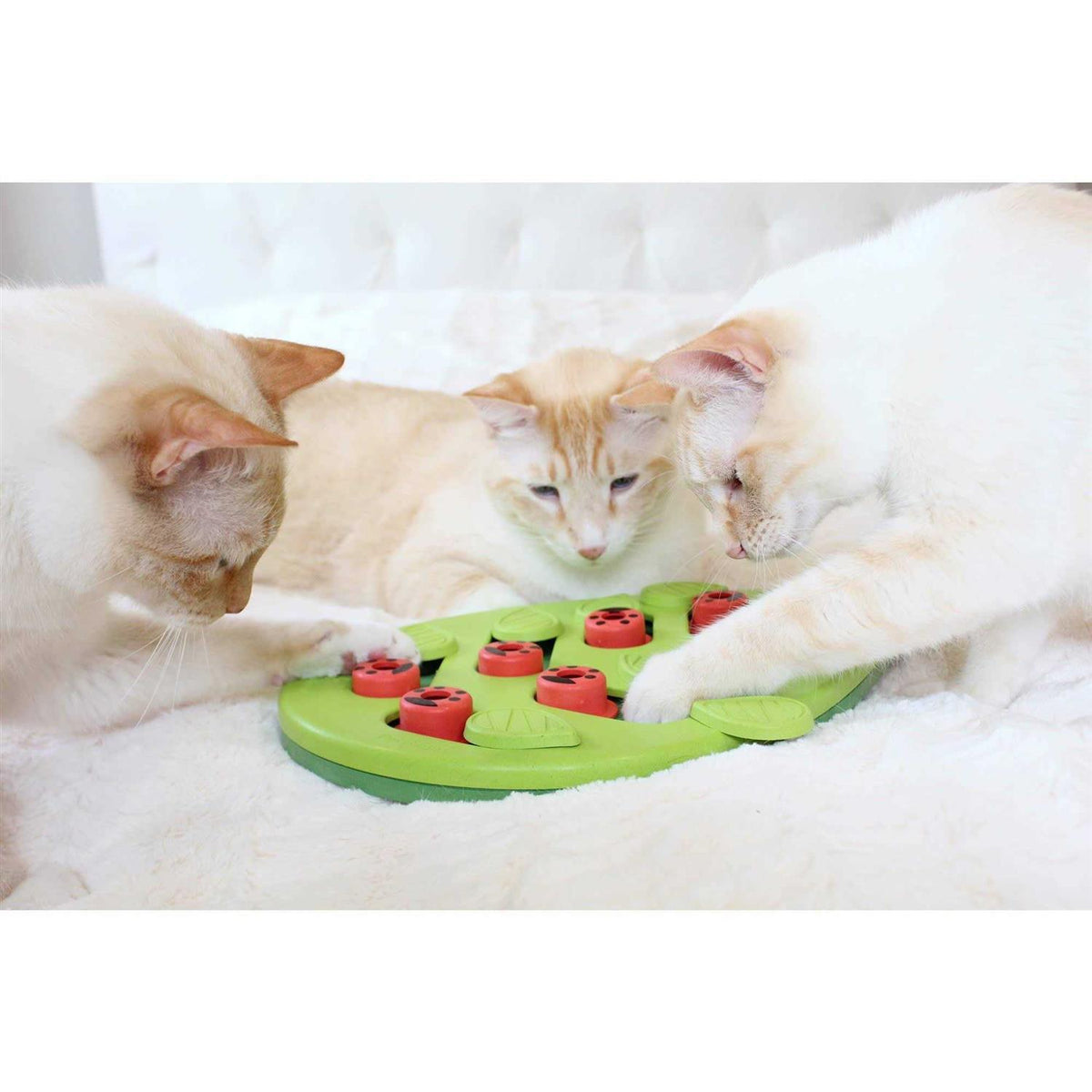 Cat Toy T736