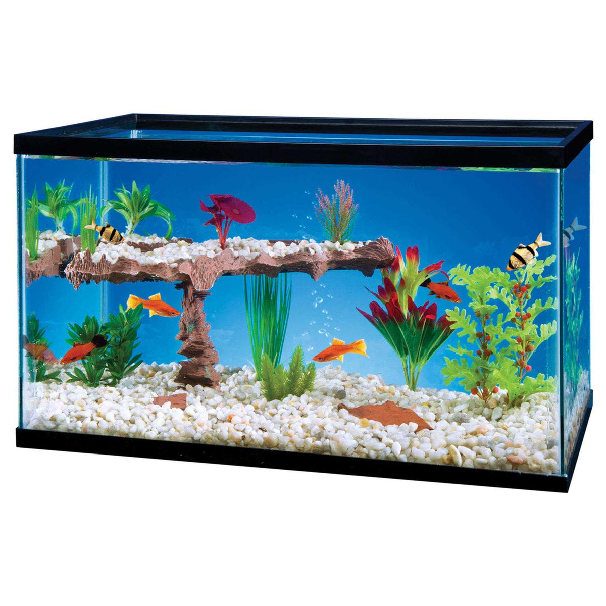 Aquarium Shelf System N2324