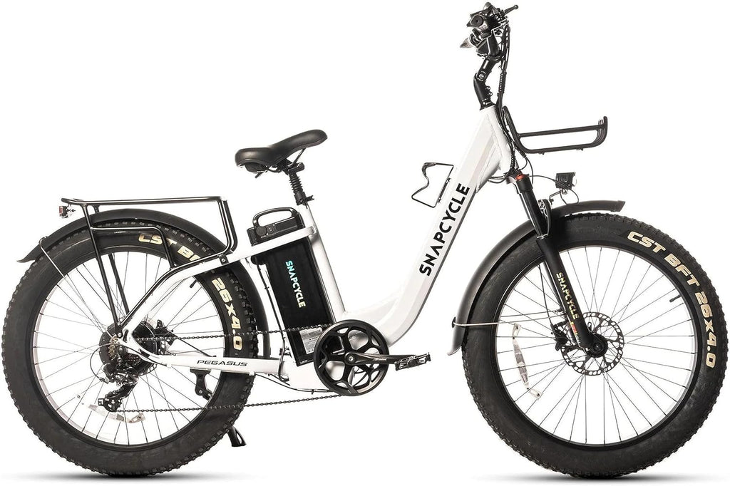 1000W Peak Motor 26" x 4.0 Fat Tire Step-Thru Ebike with 48V 15AH Removable Battery C4127