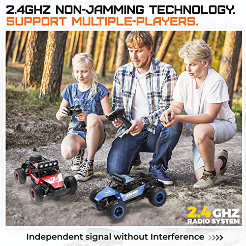 1:14 Scale 2WD Remote Control RC Car Truck with Two Rechargeable Batteries C893