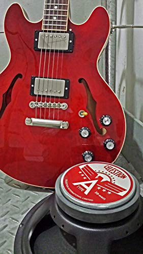 Black 12" Guitar Speaker B293078