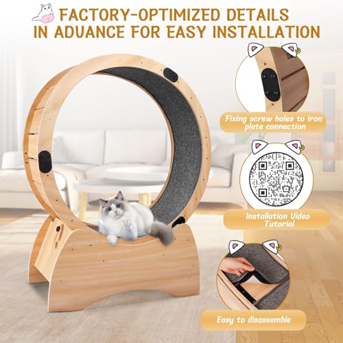 Large Wooden Cat Exercise Wheel with Lock Feature X485