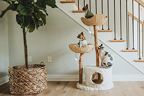 Cat Tree Tower T831089