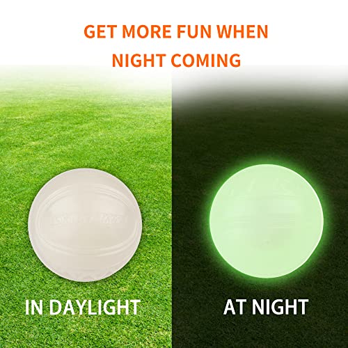 Interactive Squeaky Dog Ball, Light Up, Floating, Durable TPR, 2.5 Inches, 1 Pack F9922