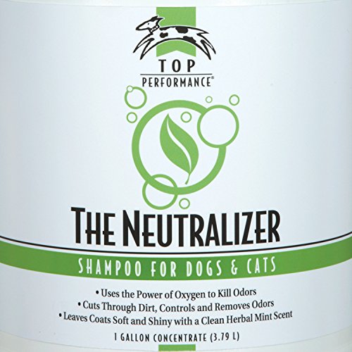 1-Gallon Dog and Cat Shampoo Y2373