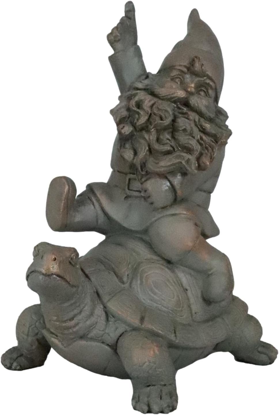 Mr Gnome Sitting On Wild Rodeo Giant Tortoise Figurine D366