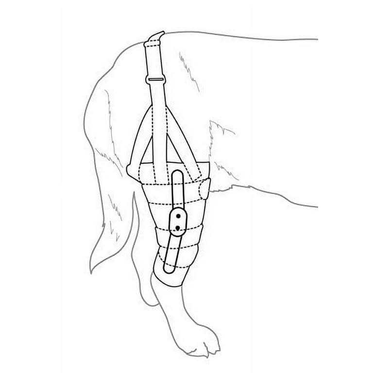 Metal Hinged Knee Brace for Dogs S644692