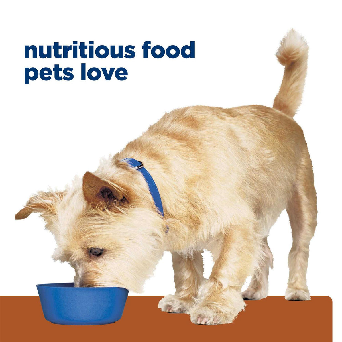 Kidney Care Dry Dog Food with Chicken A8319
