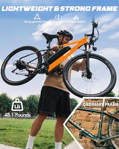 21-Speed Lightweight Electric Mountain Bike with 375Wh Removable Battery F691473