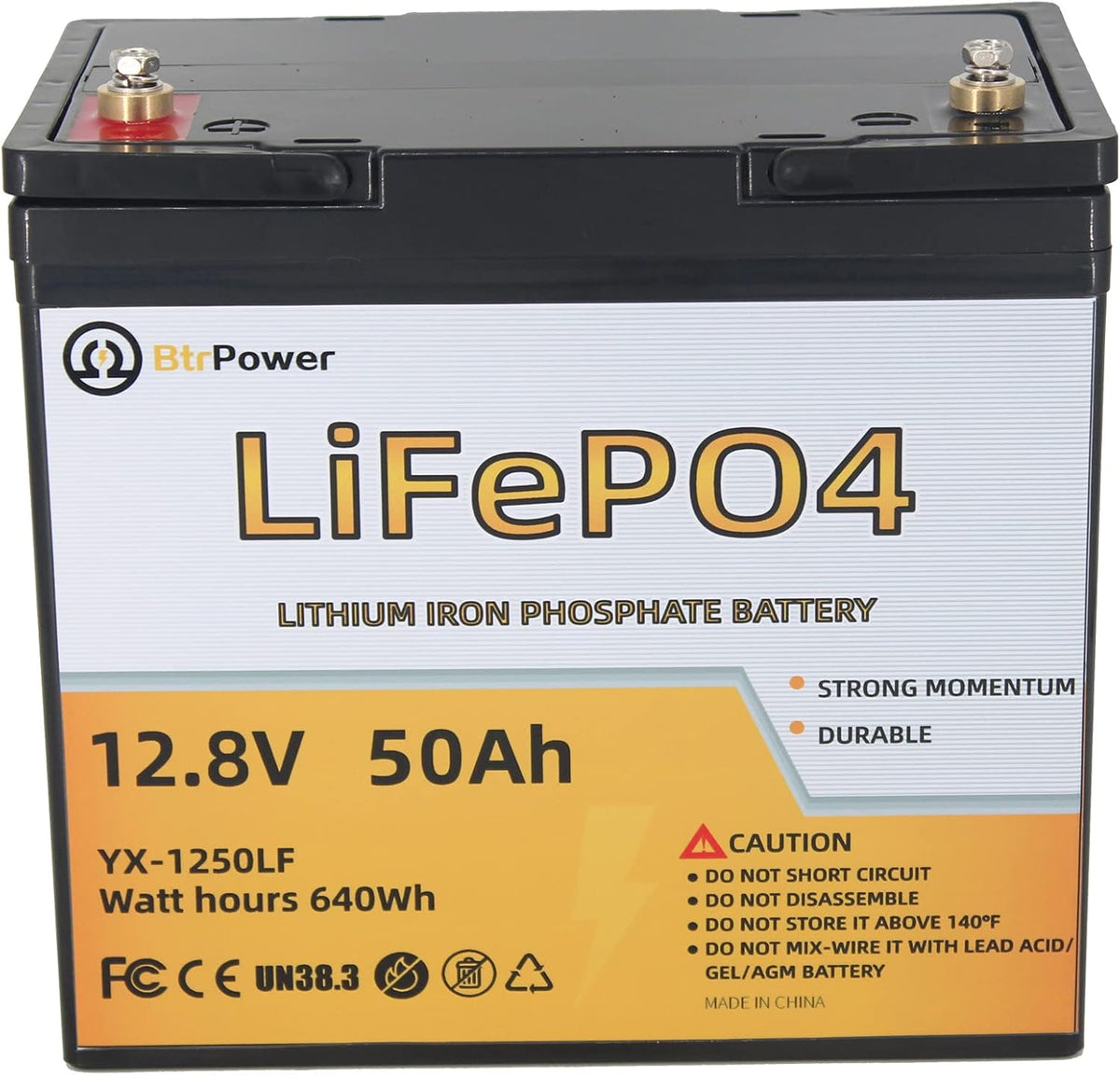 12V 100AH Lithium LiFePO4 Battery with Built-in 100A BMS L17412