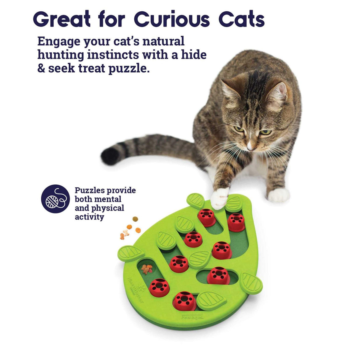 Cat Toy T736