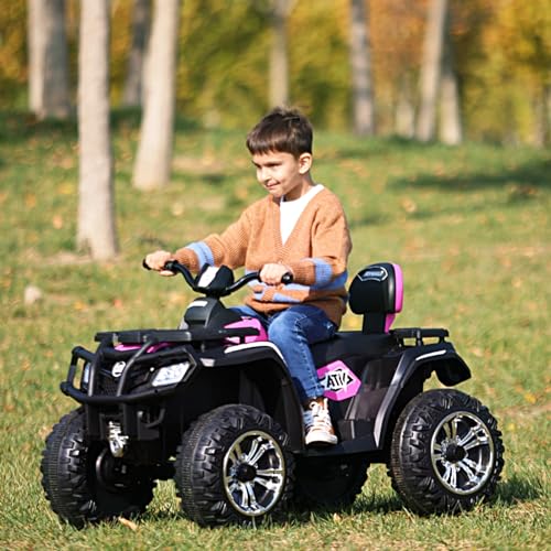 24V 2 Seater Kids Ride on ATV Car 4WD Quad Electric Vehicle R537400