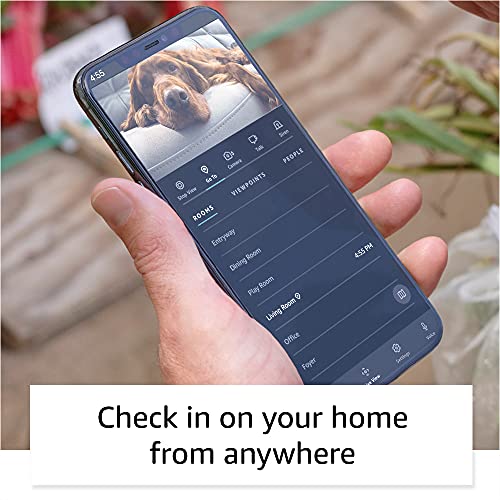 Household robot with Alexa Q543342