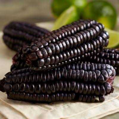 Purple Corn Cob L1626