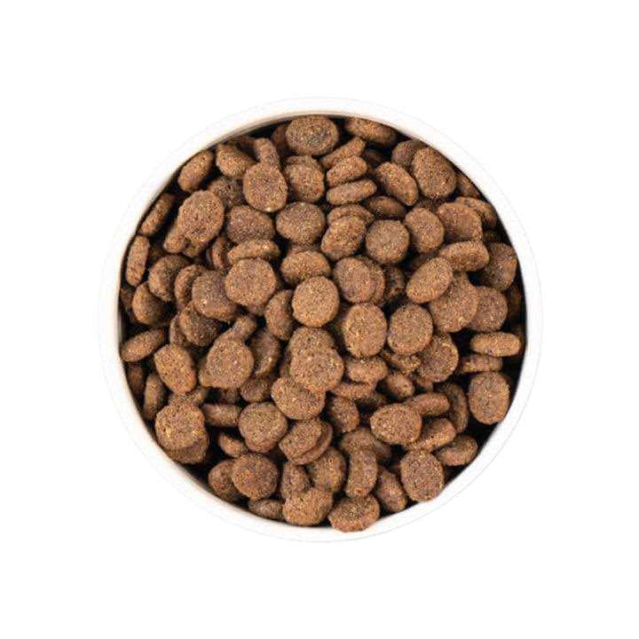 Unrefined Smoked Salmon Dry Dog Food X62284