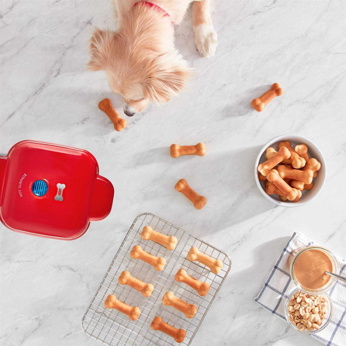 Mini Dog Treat Maker Z168697