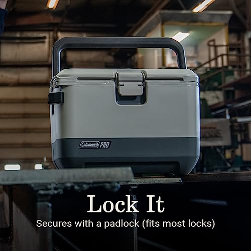 9qt Hard Cooler Lunchbox P81609