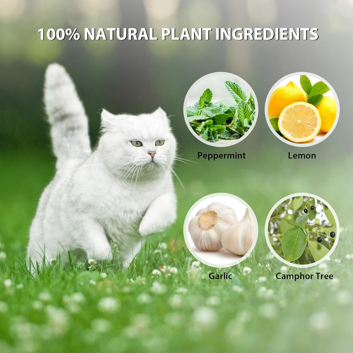 20 Pack Peppermint Oil Cat Deterrent R733445