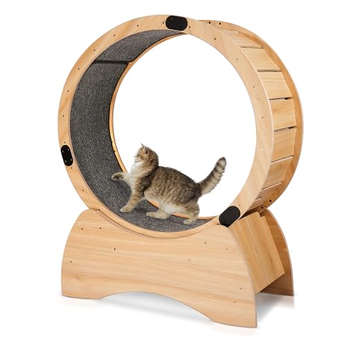 Large Wooden Cat Exercise Wheel with Lock Feature X485