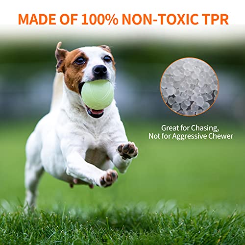 Interactive Squeaky Dog Ball, Light Up, Floating, Durable TPR, 2.5 Inches, 1 Pack F9922